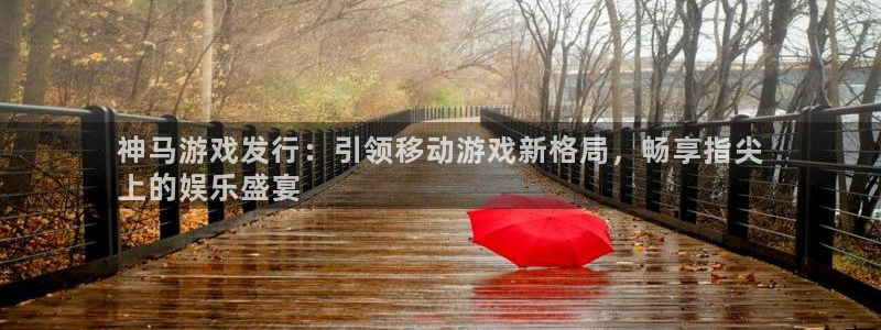 娱乐门徒txt