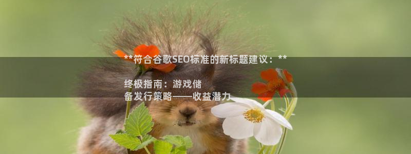 门徒娱乐企业简介：**符合谷歌SEO标准的新标题建议：**

终极指南：游戏储
备发行策略——收益潜力