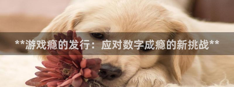 门徒娱乐的客服服务：**游戏瘾的发行：应对数字成瘾的新挑战**
