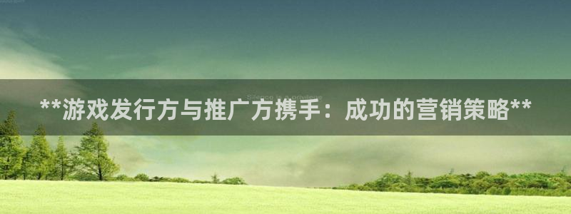 门徒平台注册登陆不上怎么回事：**游戏发行方与推广方携手：成功的营销策略**