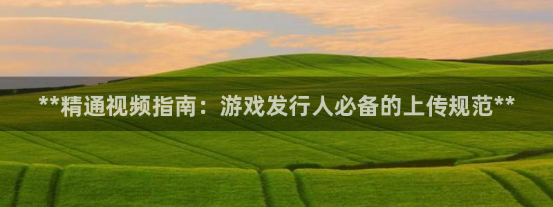 门徒平台集团官网下载：**精通视频指南：游戏发行人必备的上传规范**