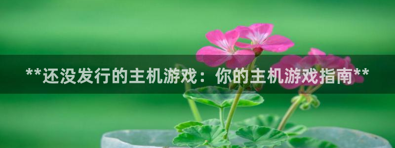 门徒娱乐平台代理怎么做