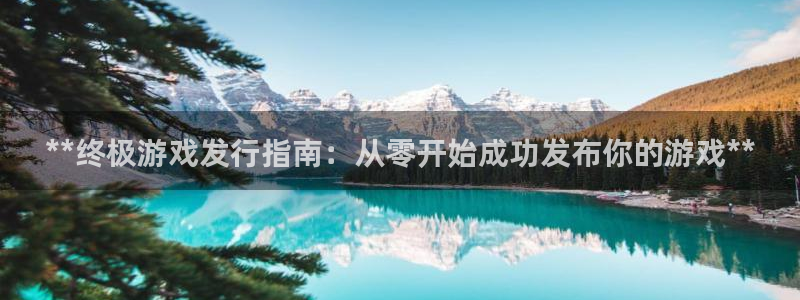 门徒娱乐怎么注册公司：**终极游戏发行指南：从零开始成功发布你的游戏**