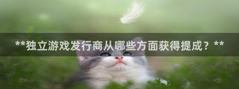 门徒娱乐可以提现么：**独立游戏发行商从哪些方面获得提成？**