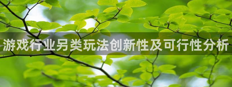 门徒平台云 411o31 门徒