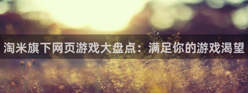 门徒娱乐平台注册登录：淘米旗下网页游戏大盘点：满足你的游戏渴望