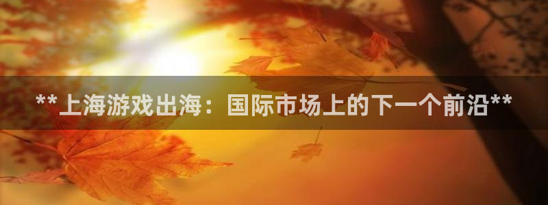 门徒娱乐徽信搜推客娃娃：**上海游戏出海：国际市场上的下一个前沿**