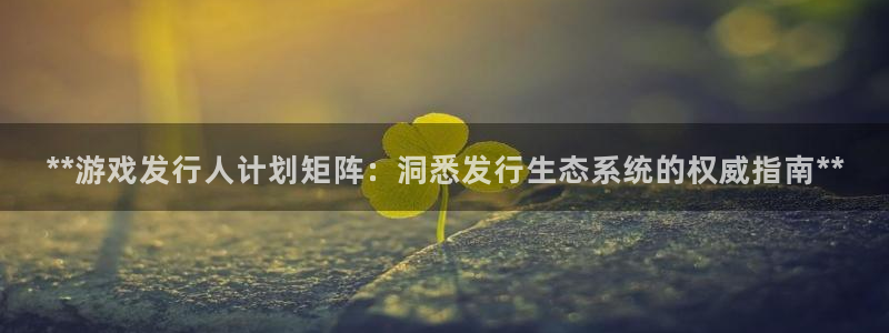 门徒平台云 411o31 门徒