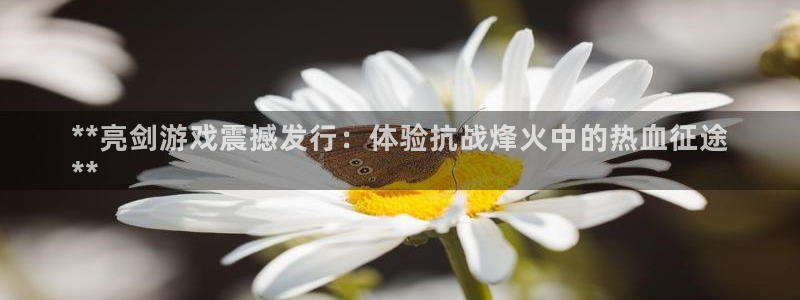 门徒平台登录