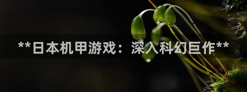 门徒平台革7O777：**日本机甲游戏：深入科幻巨作**