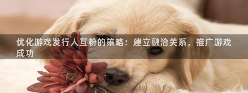 门徒平台使用技巧：优化游戏发行人互粉的策略：建立融洽关系，推广游戏
成功