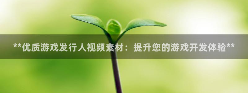 门徒平台官网首页入口：**优质游戏发行人视频素材：提升您的游戏开发体验**