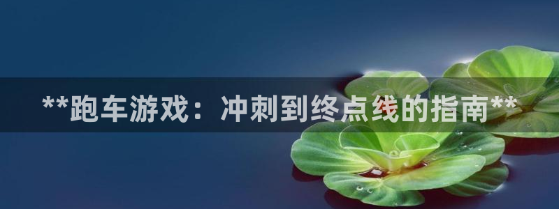 门徒平台开户要求标准：**跑车游戏：冲刺到终点线的指南**