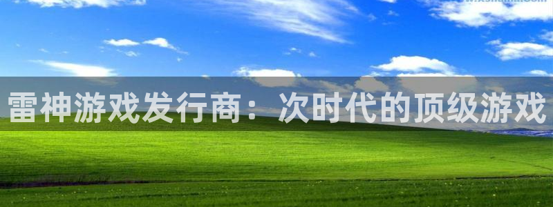 门徒平台家 5O6917 门徒：雷神游戏发行商：次时代的顶级游戏