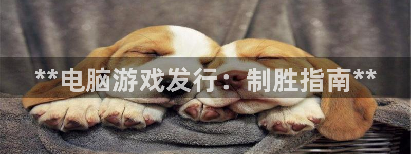 门徒娱乐是真的吗：**电脑游戏发行：制胜指南**