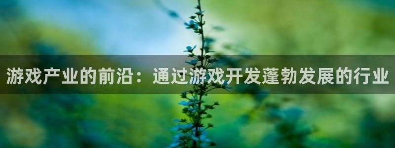 门徒娱乐的客服服务：游戏产业的前沿：通过游戏开发蓬勃发展的行业