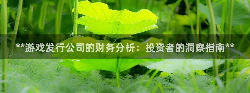 门徒娱乐黑钱：**游戏发行公司的财务分析：投资者的洞察指南**