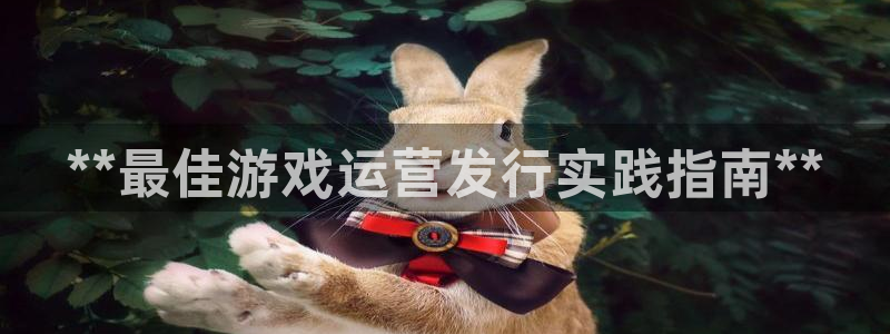 门徒娱乐创始人简介：**最佳游戏运营发行实践指南**