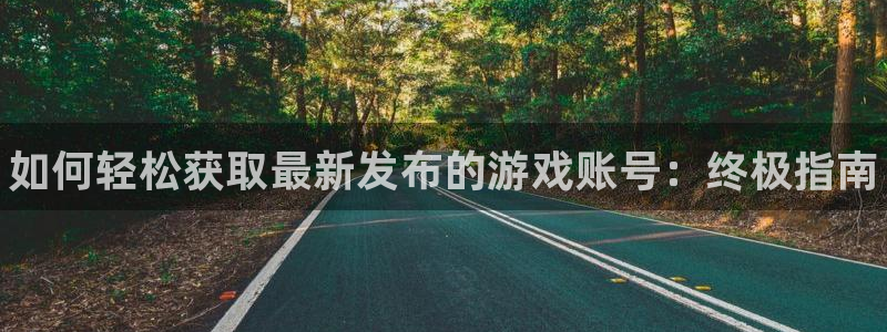 门徒平台注册登陆不上：如何轻松获取最新发布的游戏账号：终极指南