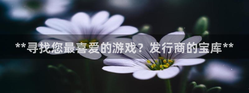 门徒平台怎么样