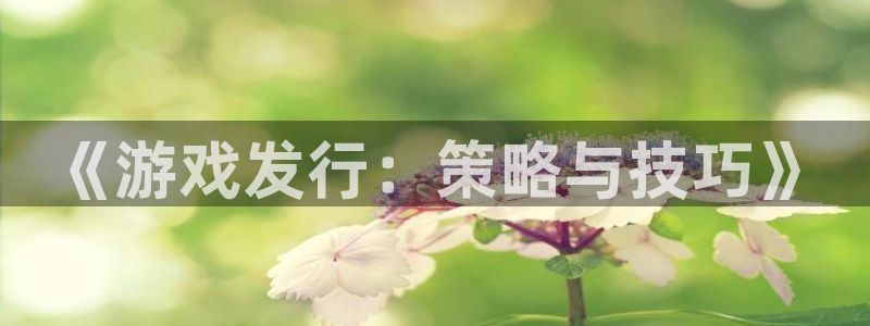 门徒娱乐创始人简介图片：《游戏发行：策略与技巧》