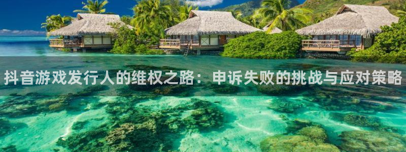 门徒平台开户流程怎么写：抖音游戏发行人的维权之路：申诉失败的挑战与应对策略
