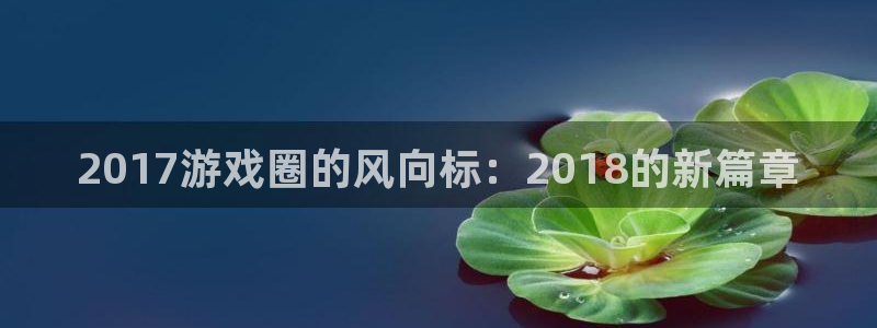 门徒平台下载：2017游戏圈的风向标：2018的新篇章