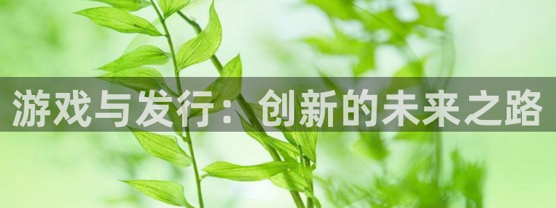 门徒平台注册中心官网下载：游戏与发行：创新的未来之路