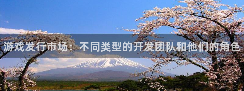 门徒平台注册登陆失败怎么回事：游戏发行市场：不同类型的开发团队和他们的角色