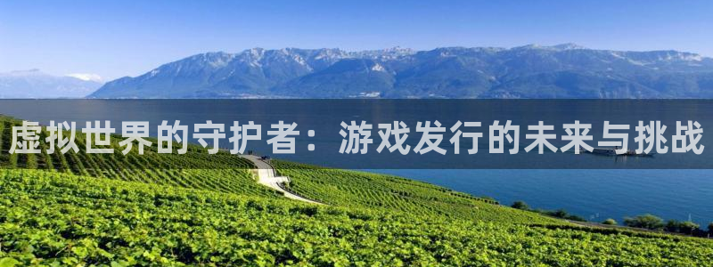 门徒娱乐平台登录不了：虚拟世界的守护者：游戏发行的未来与挑战