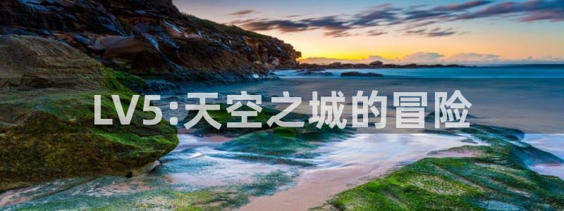 门徒平台注册中心在哪：LV5:天空之城的冒险