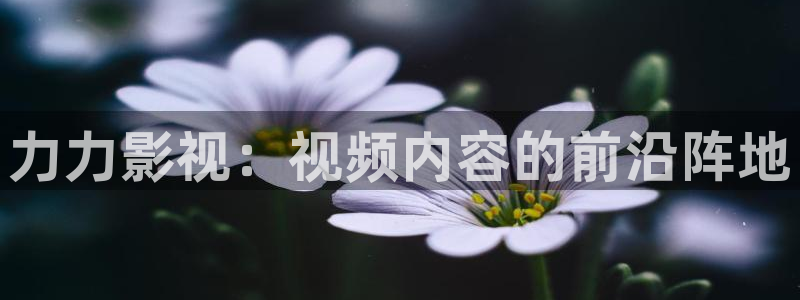 殇情影院6080：力力影视：视频内容的前沿阵地