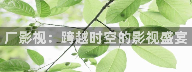 殇情影院青苹果：厂影视：跨越时空的影视盛宴