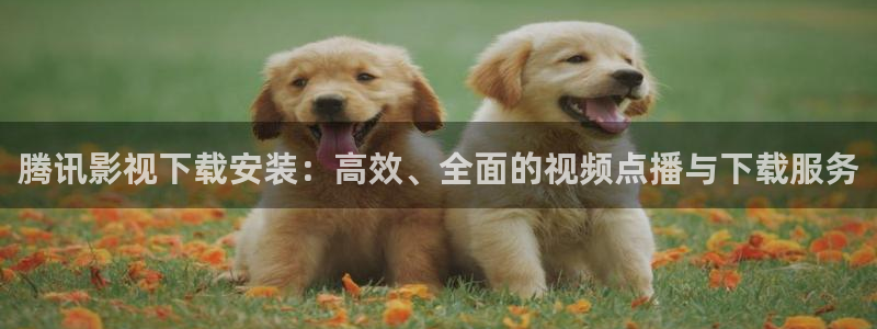 青苹果殇情影院：腾讯影视下载安装：高效、全面的视频点播与下载服务
