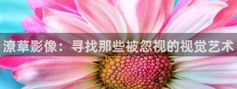 殇情影院4138理论片：潦草影像：寻找那些被忽视的视觉艺术